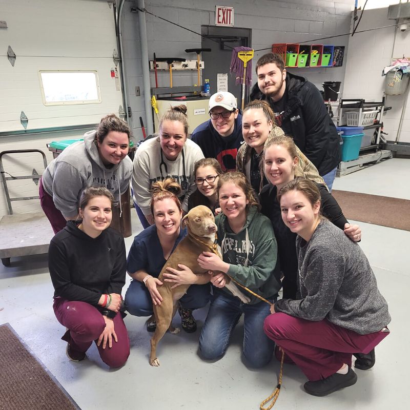 Best Vet Hospital In Dundee, MI Heritage Animal Hospital