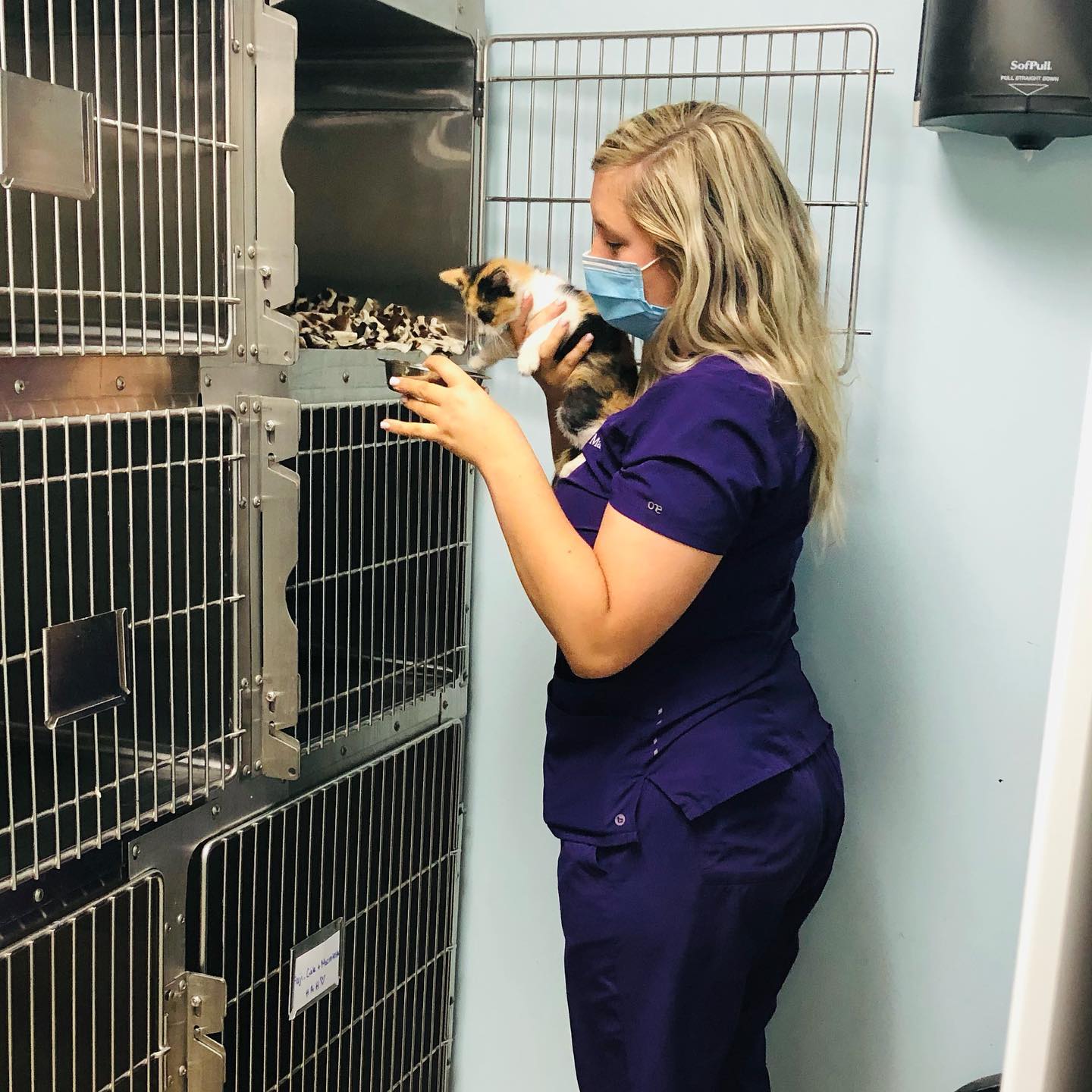 Pet Information In Dundee, MI 48131 Heritage Animal Hospital