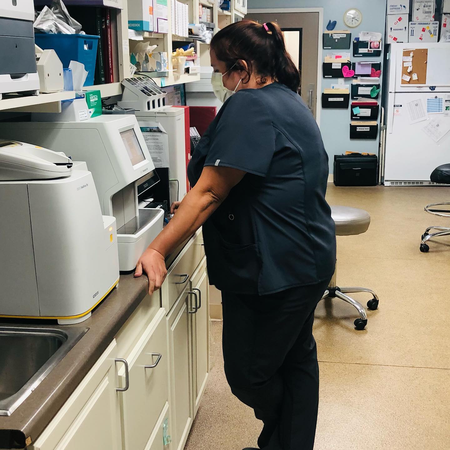 Dundee, MI 48131 Veterinary Reviews Heritage Animal Hospital