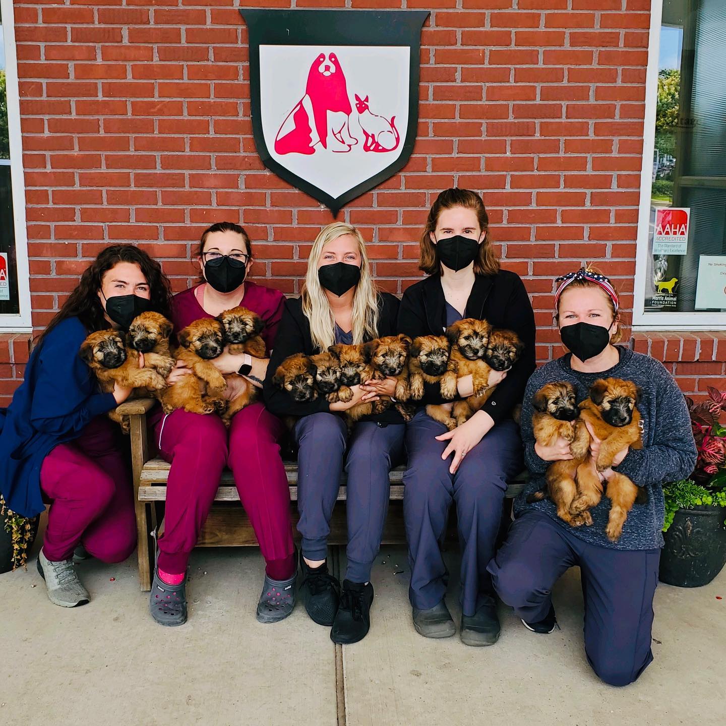 Dundee, MI 48131 Veterinarians Heritage Animal Hospital